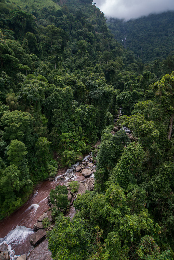 River from a zip-line of Tree Top Explorer