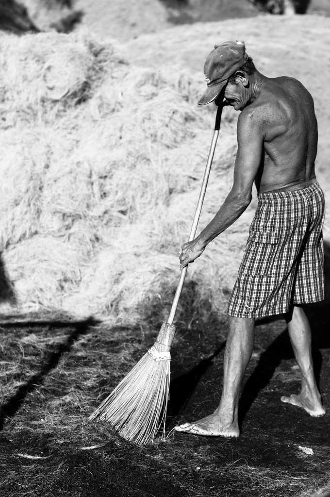 Coconut fiber in a rope factory