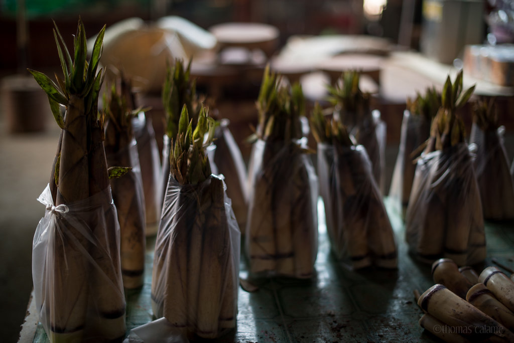 Bamboo shoots in bags at Houay Xai market