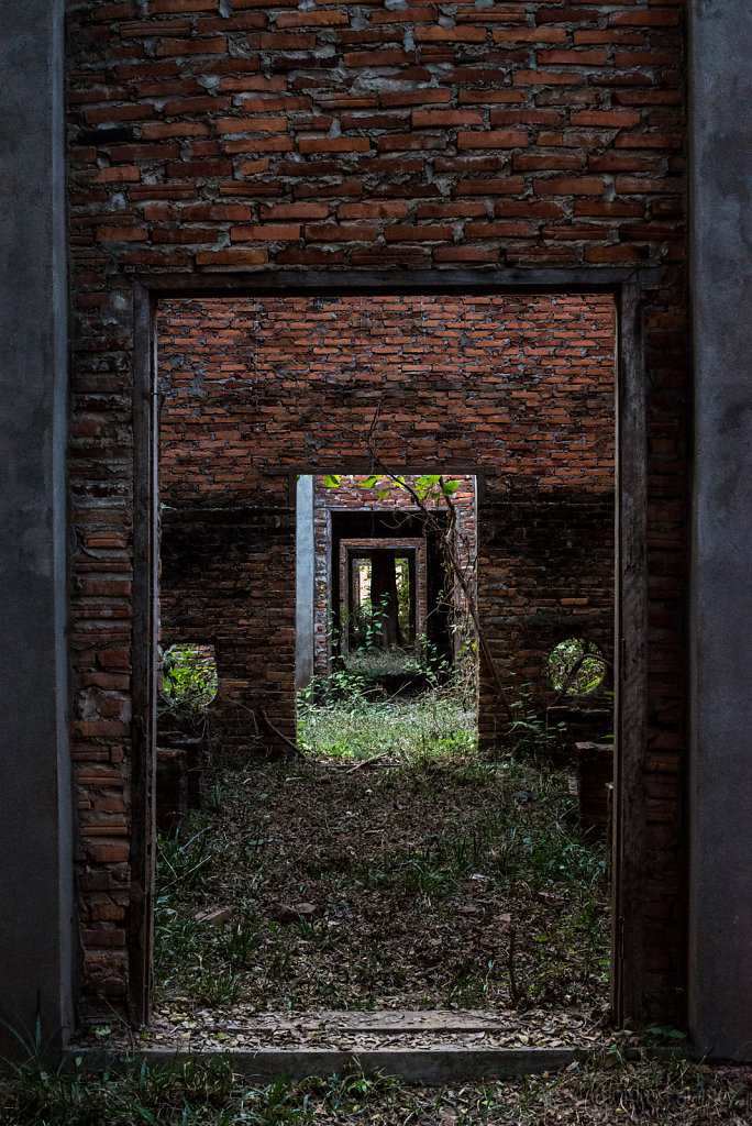 Tobacco drying sheds