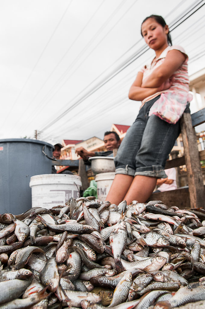 Fresh fish at Lak Sao