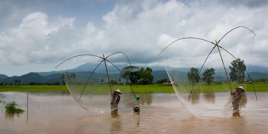 Synchronized square fishing